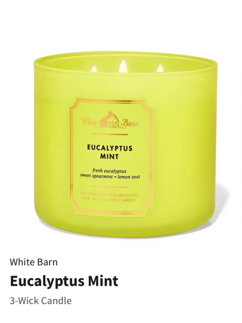 NIB White Barn “Eucalyptus Mint” 3-Wick Candle w Decorative Metal Lid